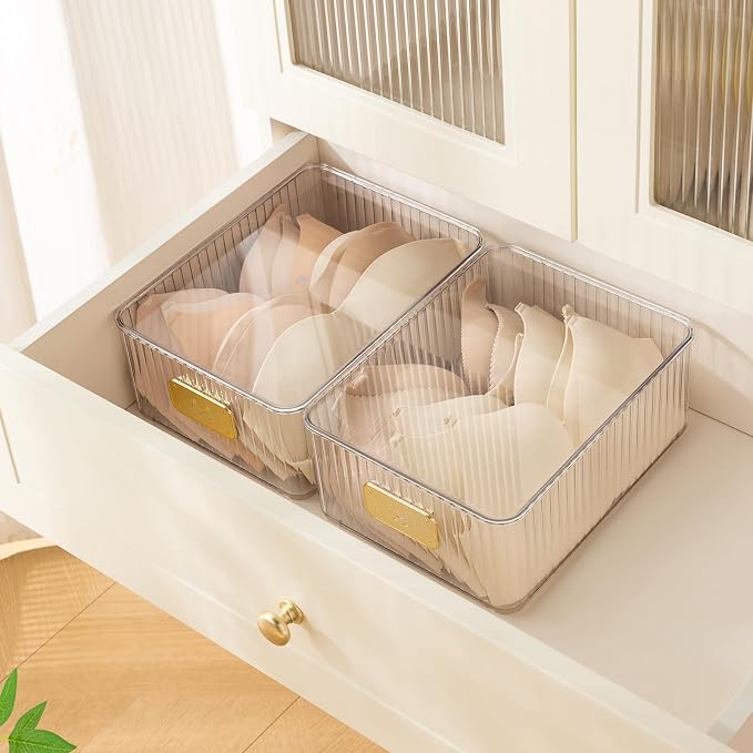 Clear Bra Organizer, Plastic Underwear Drawer Organizer with Lid for Closet, Undergarment Storage Ideal for Socks, Bras, Ties, and Scarves