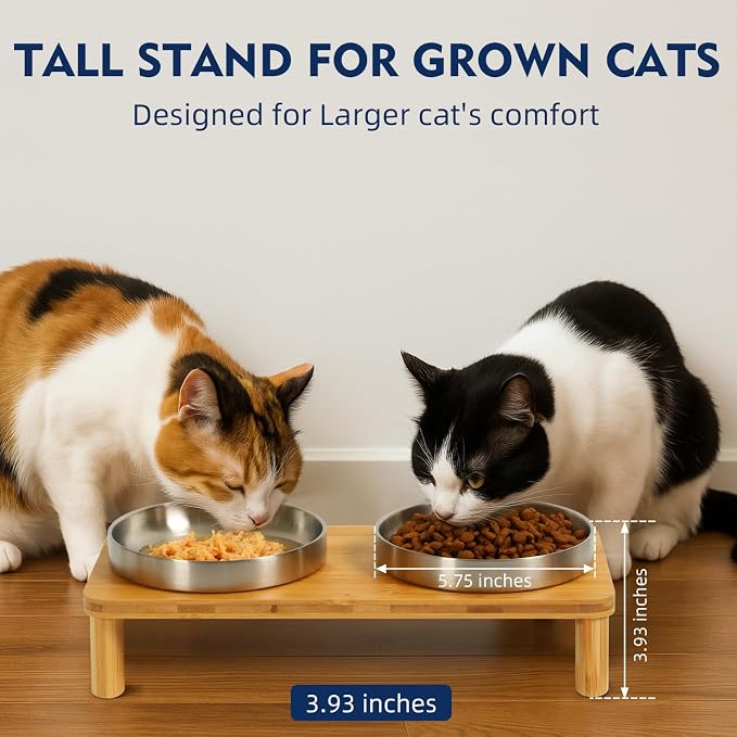 DoogCat Raised Cat Bowls, Bamboo Stand with 2 Stainless Steel Bowls | Adjustable Height, Whisker-Friendly Design, Food & Water Set, Stable Construction, Easy to Clean