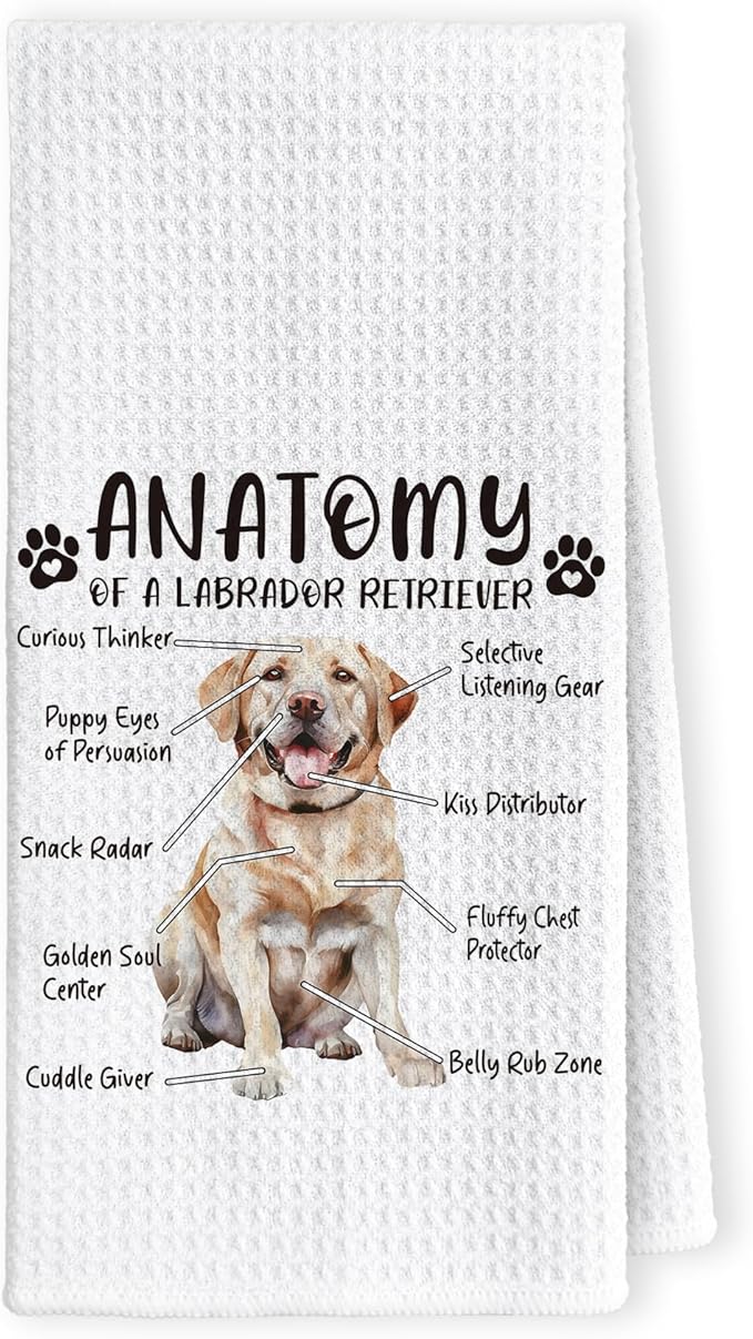 Funny Yellow Labrador Retriever Gifts Kitchen Towels, Yellow lab Gifts for Women, Labrador Lovers Hand Dish Towels for Women Men, Dog Anatomy Tea Towel Dog Room Decor for Home Kitchen Bathroom
