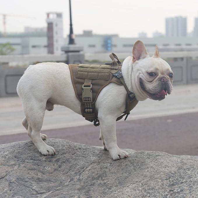 ICEFANG Tactical Dog Harness for Small Dogs,Reflective No Pull Dog Vest | with Control Handle,Adjustable,Front Hook,2 Leash Clips,Soft Padded,MOLLE Panel,Brown,Small