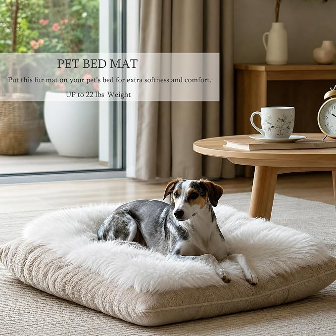 Fluffy Cat Bed Mat 19.6"x31.4" Furry Small Dog Cats Cushions for Indoor | White Faux Fur Fuzzy Puppy Pads for Pet Sleep
