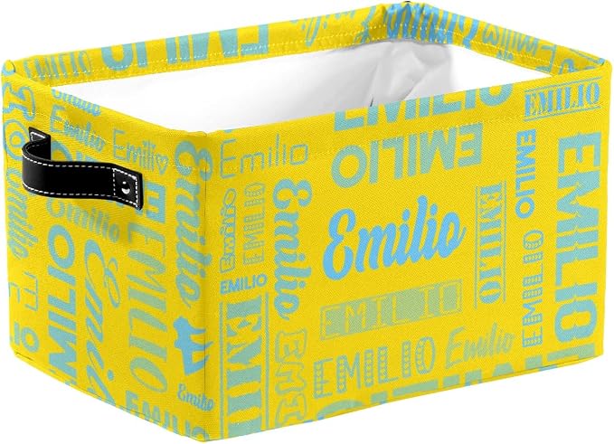Personalized Toy Box Storage Bins for Boys Girls with Name, Kids Custom Storage Basket Cubes Organizer with Handles, Shelf Closet Storage Baskets Bin Customized Gift, 1 Pack