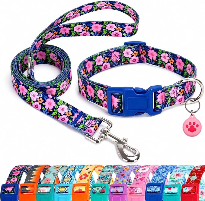 Floral Matching Dog Collar and Leash Set with AirTag Holder-Daisy/XS | Anti-Lost,Adjustable Durable Pet Collar Leash Combo for Puppy X-Small Boy Girl Dogs,Outdoor Walking Hiking Training Running