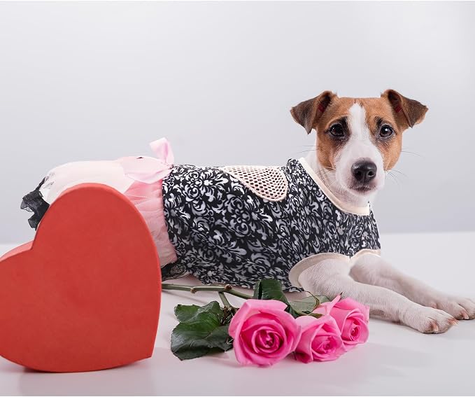 Valentines Day Dog Costume Dress S, Black Floral Top with Pink Tulle Skirt and Bow, Glitter Heart Pet Outfit for 6-7 lbs Dogs and Cats, Romantic Holiday Clothing