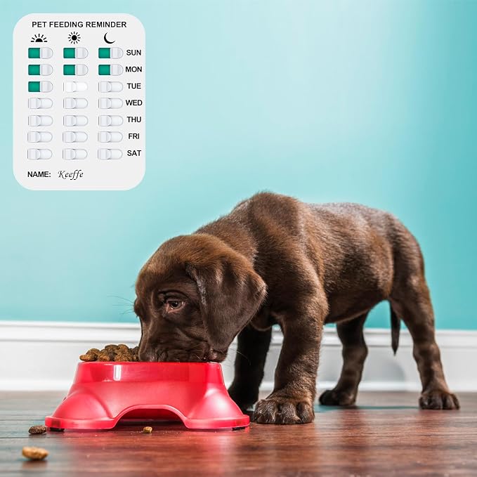 Pet Feeding Reminder Coolrunner Pet Feeding Reminder for Dogs Cats
