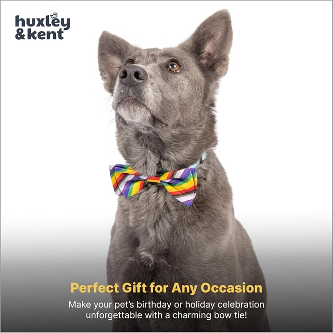 Huxley & Kent Pet Bow Tie for Dogs & Cats, All Together, Small/Medium | Hook & Loop Attaches to Any Collar, Soft Polyester, Lightweight & Machine Washable, Perfect for Holidays & Photos