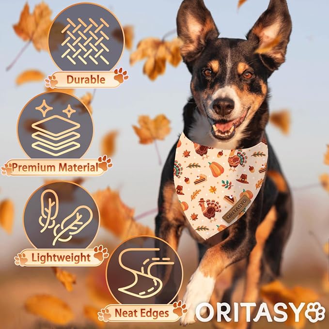 Thanksgiving Fall Dog Bandanas, 2-Pack Triangle Reversible Turkey Pumpkin Pet Scarves, Premium Fabric, Bandana for All Boys Girls Dogs (Large, Style 2)