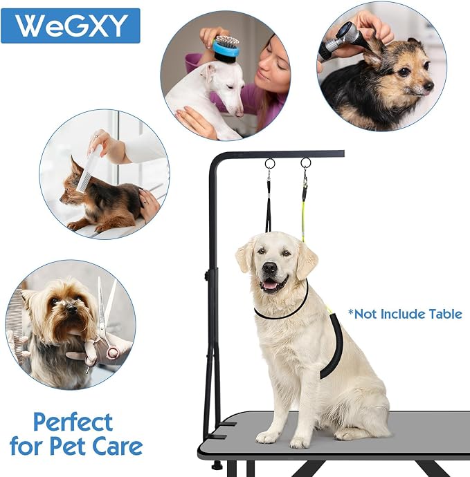 Adjustable Pet Grooming Arm with Clamp for Small & Medium Large Dogs,42.5" | Dog Grooming Arm,Grooming Loop & No Sit Haunch Holder Dog Grooming Station with Clamp for Home Use,Nail Trimming & Drying