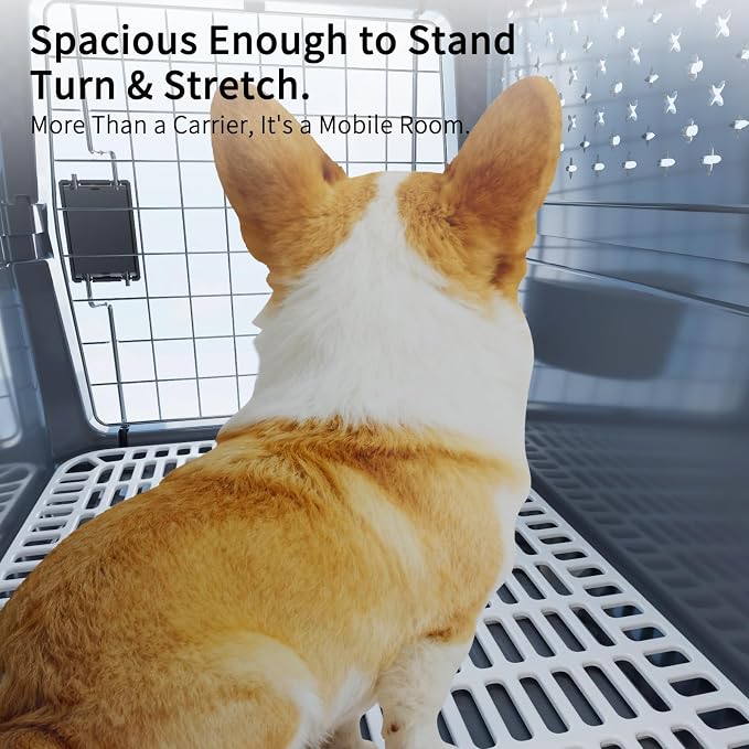 Hard-Sided Pet Carrier: Portable Travel Crate for Medium Pets | Secure Metal Locking Door / 360° Ventilation Panels / Spacious for Medium Pets / Top Carry Handle / Lightweight Durable Shell