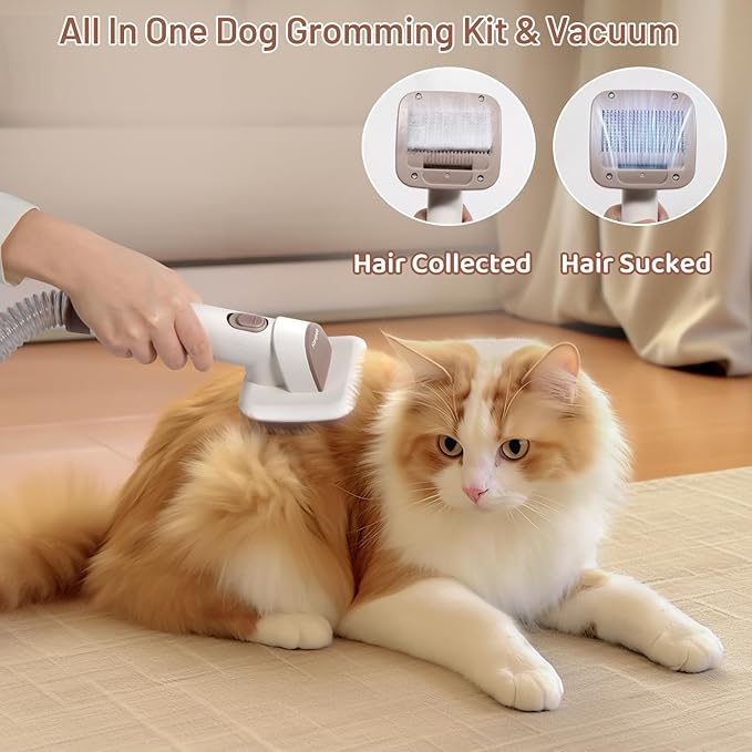 Mavpet 3.2L Dog Grooming Kit & Vacuum Suction, 3 Level Pet Hair Vacuum Groomer with Clippers for Thick Coats, 6 Shedding Grooming Tools for Dogs Cats