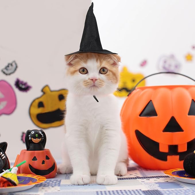 Toyvian Mini Halloween Witch Hat for Cats Dogs, 2pcs Spooky Non-Woven Puppy Kitten Headwear Pet Vampire Costume Accessories for Holiday Party Photoshoot