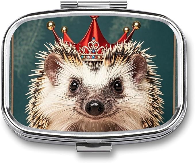 Small Crown Pill Box 2 Compartment Medicine Pill Case Portable Pill Organizer for Pocket Or Purse Decorative Metal Medicine Vitamin Organizer