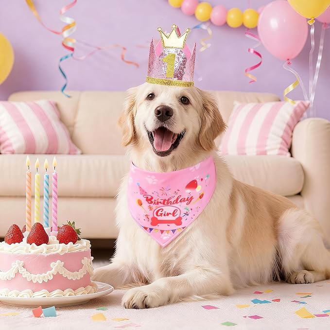 Rensh Dog Birthday Party Supplies, Dog Birthday Bandana Hat with Numbers for X-Large Large Small Pets, Multi Size Birthday Decorations for Dogs and Cats (Pink, Large)