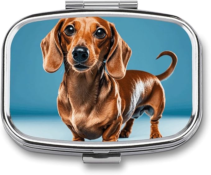 Pill Box Dachshund Weiner Pet Dog Travel Pill Organizer 2-Compartment Portable Medicine Case with Mirror Design for Vitamins, Jewelry & Essentials Durable Pocket Pillbox for Purse, Camping