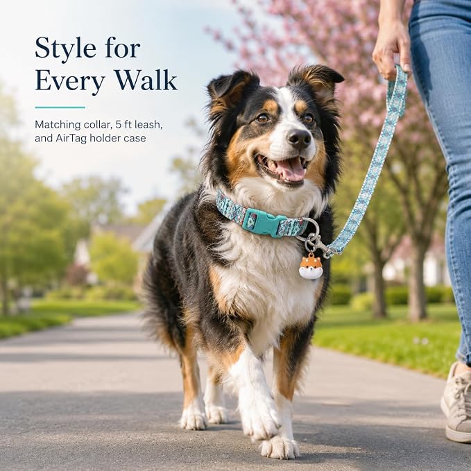 Matching Dog Collar and Leash Set with AirTag Holder-Maya/L | Anti-Lost,Adjustable Durable Pet Collar Leash Combo for Large Boy Girl Dogs,for Outdoor Walking Hiking Training Running