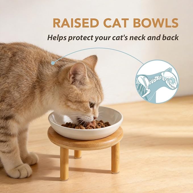Havniva Elevated Cat Bowls, Ceramic Cat Bowl with Bamboo Stand Wide Opening | 5.7” Raised Cat Food Bowls, Whisker Friendly Cat Dish, Anti-Slip Cat Water Bowls, Shallow Cat Bowls, Cat Food & Water Bowl