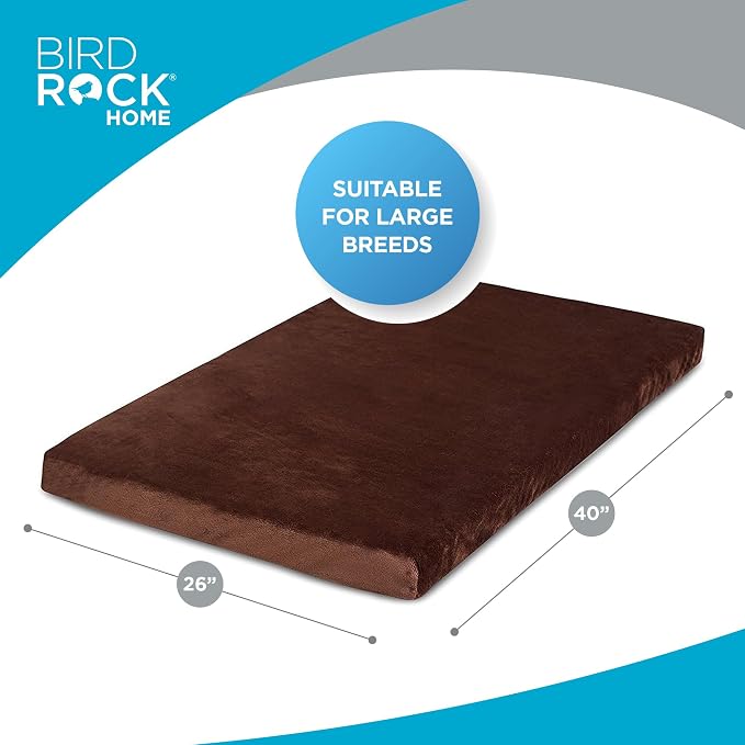 BIRDROCK HOME Memory 3" Memory Dog Bed | Ultra Soft Plush Pet Bed | Pet Mat (40 x 26, Brown)