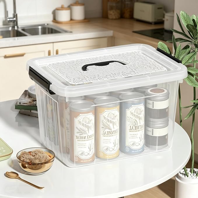 22 L Clear Storage Bin with Handle, Latching Storage Box, 4-Pack | BPA Free Plastic, 15.4" x 11.14" x 9.3"