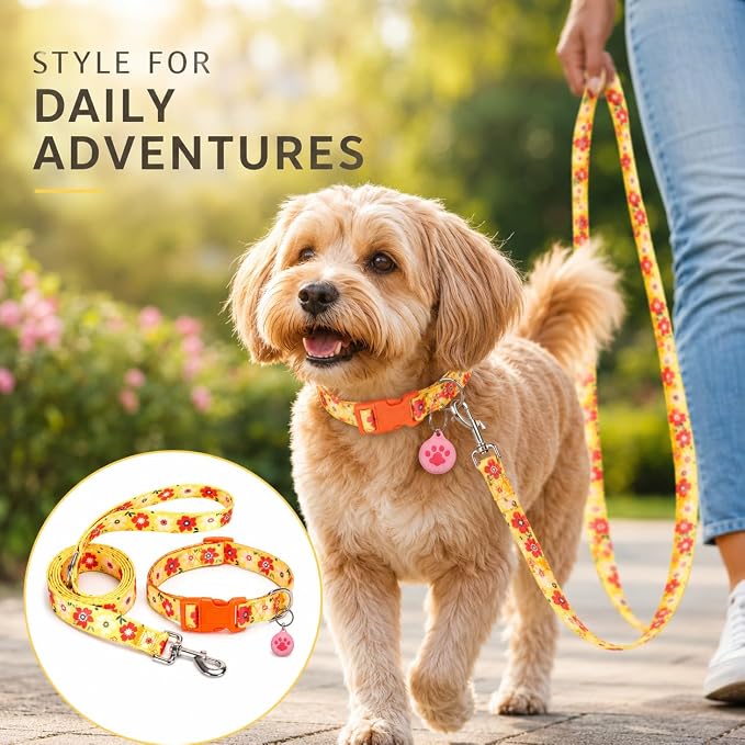 Floral Matching Dog Collar and Leash Set with AirTag Holder-Orange Daisy/S | Anti-Lost,Adjustable Durable Pet Collar Leash Combo for Small Boy Girl Dogs,for Outdoor Walking Hiking Training Running