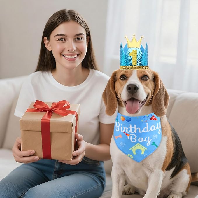 Rensh Dog Birthday Party Supplies, Dog Birthday Bandana Hat with Numbers for X-Large Large Small Pets, Multi Size Birthday Decorations for Dogs and Cats (Blue, Small)