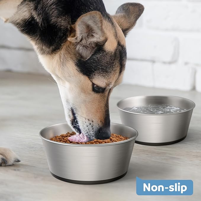WROSWT 304 Stainless Steel Dog Bowls Set of 2, Anti Rust Metal & Non Slip Rubber Base, Heavy Duty Large Feeding Dishes, Food Grade BPA Free, Food and Water Bowl for Large Dogs (64oz, 8cup)