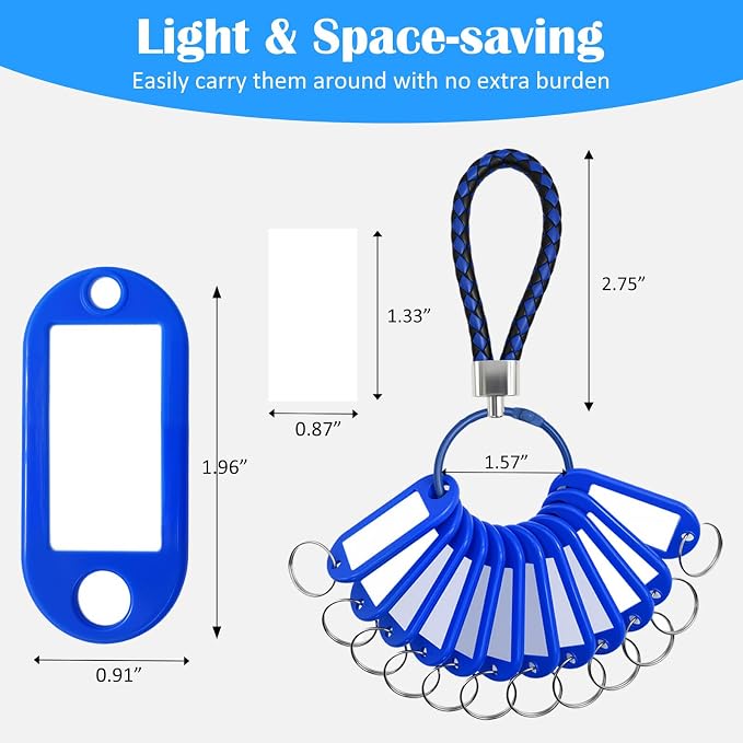 12 Pcs Plastic Key Tags with Labels and Ring Window, Single Color for Luggage, Pet ID, USB Drive (1 Color)