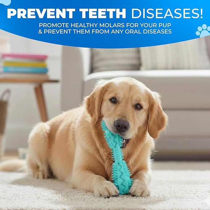 Dog Toothbrush Kit with Dental Chew Toy – 4-Pack Silicone Finger Toothbrushes + Travel Cases – Pet Dental Care for Dogs & Cats, Dog Teeth Cleaning, Plaque & Tartar Control, Fresh Breath + QR Guide