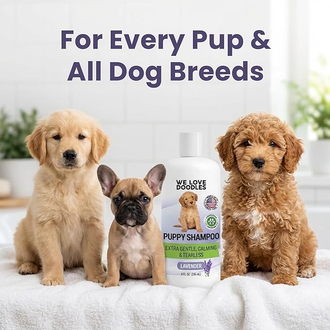 Puppy Shampoo & Conditioner | Made in USA | Tear Free | Best Shampoo for Puppies | Sensitive & Itchy Skin Wash | Oatmeal Bathing | Tearless, Lavender, 8oz [We Love Doodles]