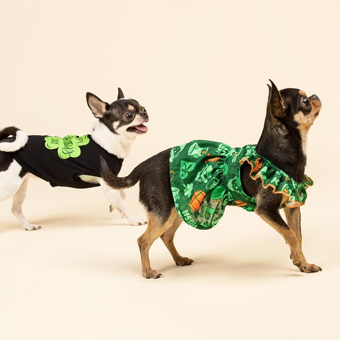Fitwarm Happy St. Patrick's Day Dog Clothes, Summer Pet Cat Outfit for Small Dogs & Cats - Breathable Cotton T-Shirt, Black & Green, Small