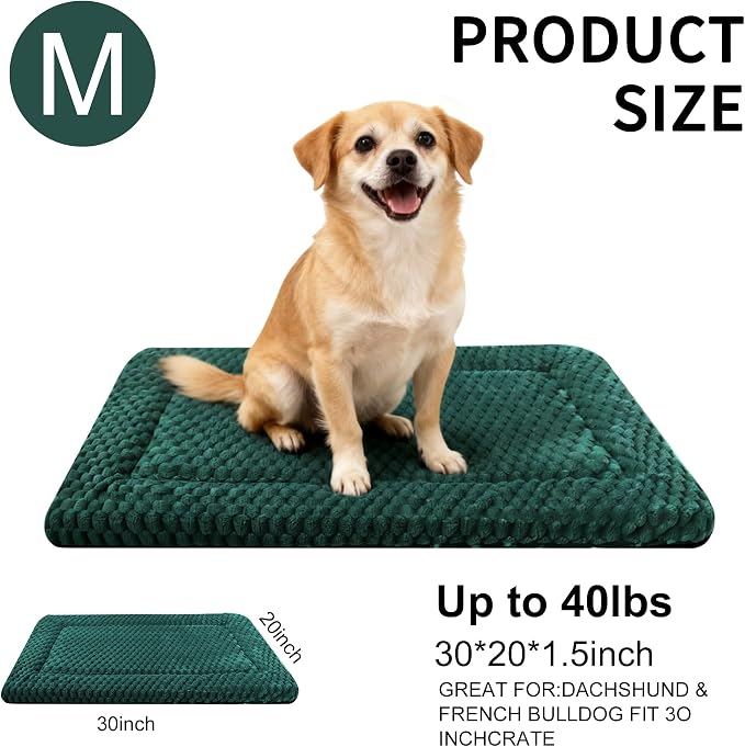 Dog Bed Mat - Dog Crate Pad - Reversible Mat for Pet Comfort - Soft Bed Crate Pads for All Seasons - Durable, Machine Washable Mat for Crates, Travel, and Home (Dark Green, 30" L*20" W*1.5" Th)