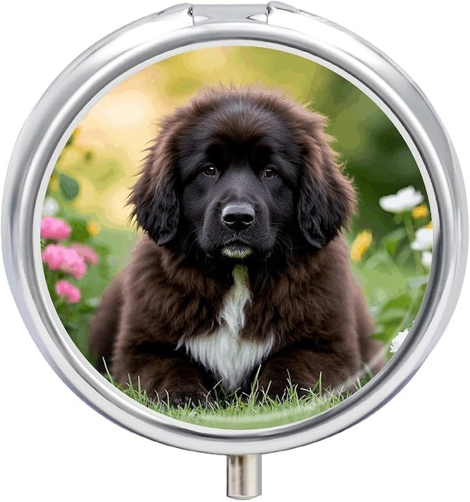 Cute Pet Newfoundland Dog Pill Box Exquisite Round Pill Organizer 3 Compartments Portable Pill Case Waterproof Mini Medicine Container Cute Medicine Box for Pocket Purse Daily Vitamin Holder