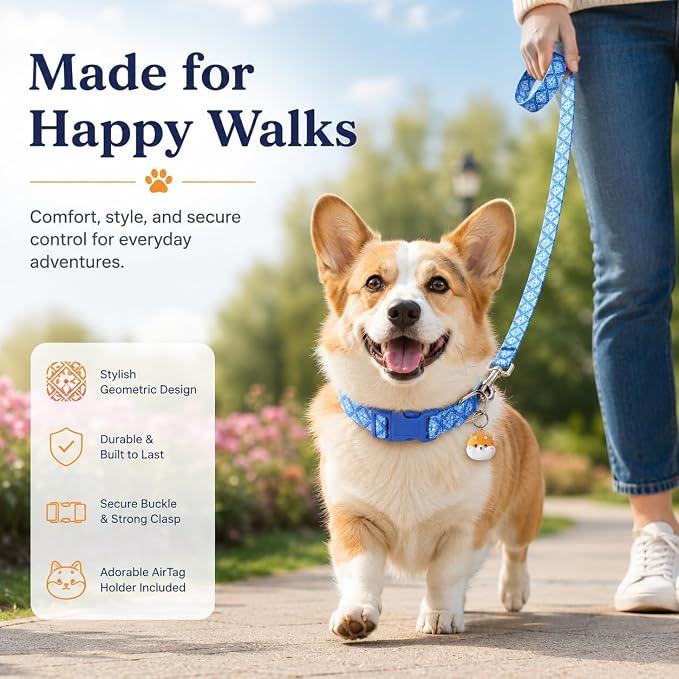 Matching Dog Collar and Leash Set with AirTag Holder-Blue Geometry/M | Anti-Lost,Adjustable Durable Pet Collar Leash Combo for Medium Boy Girl Dogs,for Outdoor Walking Hiking Training Running