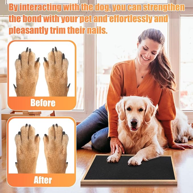 Pet Nail Self Adhesive Replacement Emery Paper Fits Most Dog Scratch Pad Cat Litter Box DIY on The Places Where Pets Like to Scratch Alternatives to Cat and Dog Nail Clippers (10in*13ft, Gray)