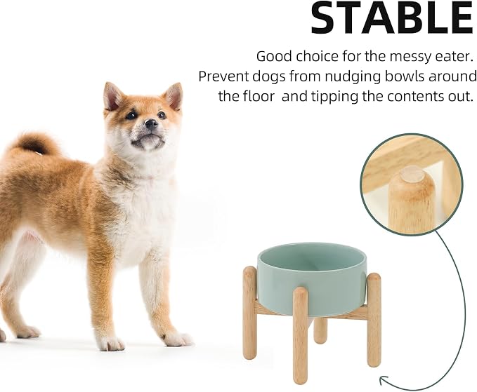 Havniva Ceramic Dog Bowls Elevated, Raised Dog Food Bowl for Small Dogs | 6.1” Elevated Dog Bowls, Non-Slip Wood Stand, Dog Food and Water Bowl Set, Dog Feeding Dish, Large Capacity Pet Water Bowl