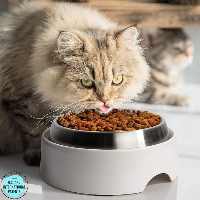 CatGuru Food Table for Cat Bowls, Elevated Feeding Station for Cat Food Bowl, Raised Stand for Pet Food and Water Bowls, Pet Feeder for Indoor Cats, Stress Free Stand for Pet Dishes (Marshnallow)