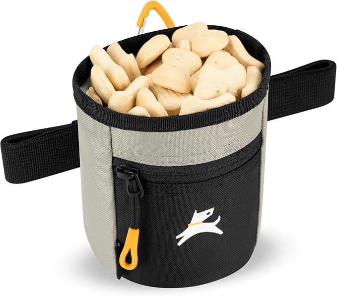 OllyDog, Goodie Treat Bag, Dog Treat Training Pouch | Magnetic Closure | 3 Ways to Wear | Hands-Free Waist Belt | Water-Resistant Recycled Vegan Fabric (Wasabi Stone)
