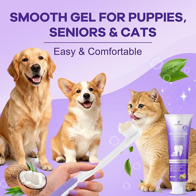 6% nHA Pet Dual-Enzymatic Toothpaste, Sensitive Teeth Care for Dogs & Cats, Remineralizes Enamel & Repairs Early Cavities, Plaque Control & Fresh Breath, Safe to Swallow, 3.52oz