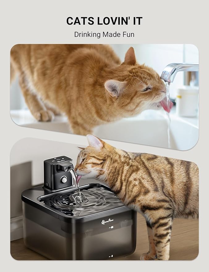 DownyPaws Cat Water Fountain Cordless, 84oz/2.5L Fursink Wireless Pet Water Fountains for Cats Indoor, Battery Operated Cat Drinking Fountain with Motion Sensor, BPA-Free, Black with 6 Filters