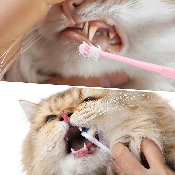 Ceenna 8 Pcs Dog & Cat Toothbrush Kit Triple Head and 360 Degree Pet Tooth Brushes Multi-Angle Dental Cleaning Brushes with 2 Storage Box for Dog Cat Kitten Oral Dental Health, 4 Different Shapes