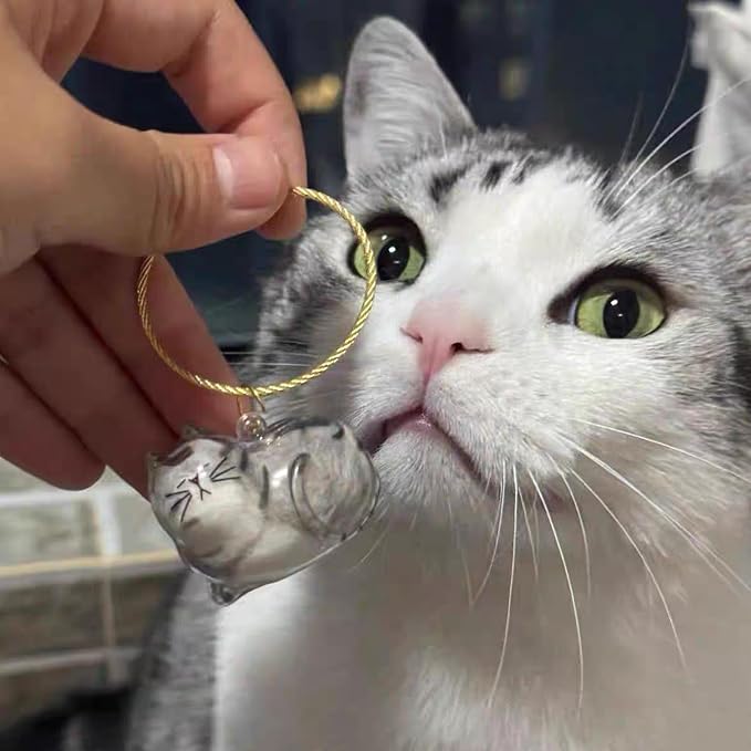 2 Pcs Cat Hair Keychain Transparent Pet Fur Keepsake with Tweezer | Portable Cat Fur Keychain DIY Pet Hair Memorial Keepsake Cats Hairs Collector Charm Storage Box, Cats Lover Collecting Gifts