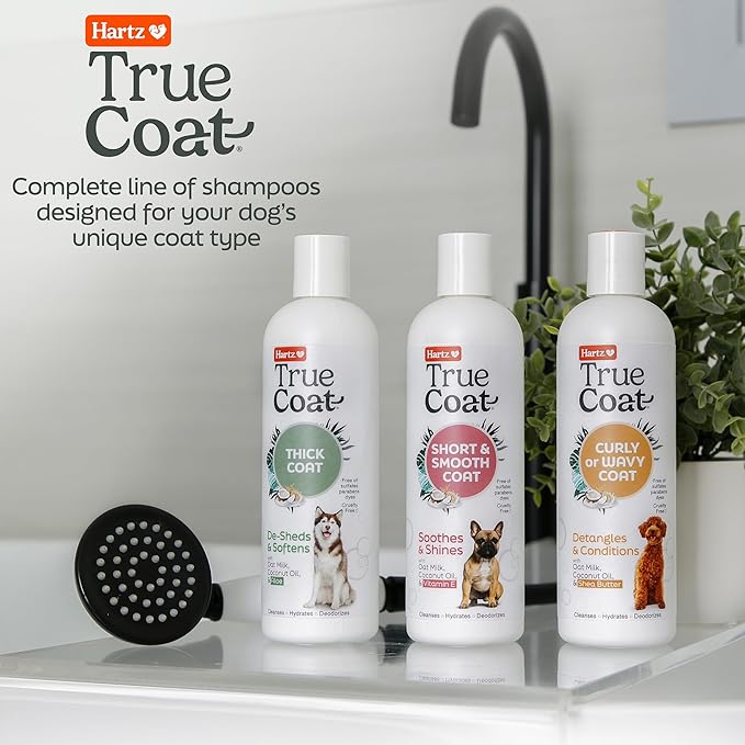 Hartz True Coat Curly or Wavy Dog Shampoo, 5 in 1 Detangles & Conditions with Oat Milk, Coconut Oil & Shea Butter, 16 oz