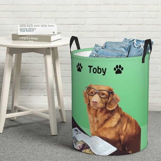 Personalized Large Dog Toy Storage Basket Bin Collapsible Custom Pet Stuff Box Chest Container for Living Room Organizer for Dog Toys,Dog Food,Blankets,Clothing (Mint)