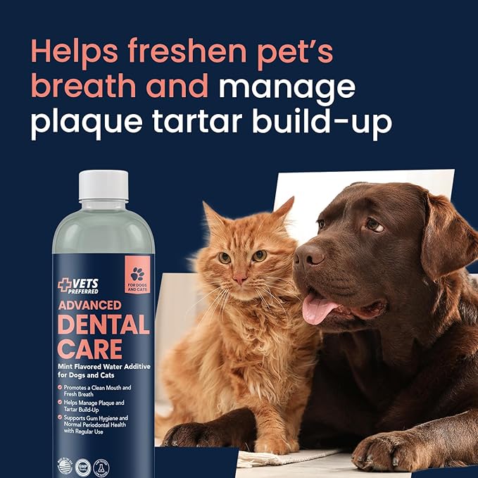 Vets Preferred Dog Breath Freshener & Water Additive for Dental Care – Fights Bad Breath, Removes Tartar & Plaque – Dog Mouthwash for Healthy Teeth & Gums, Gingivitis Support – Mint Flavor