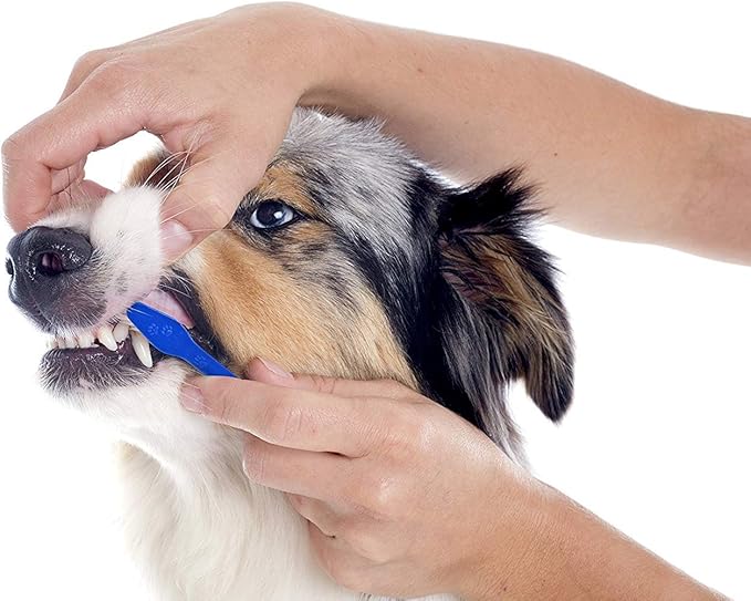 Pets First Softest Bristle Dog Toothbrush Extra Large Long Double Sided for Small & Large Teeth - Set of 2