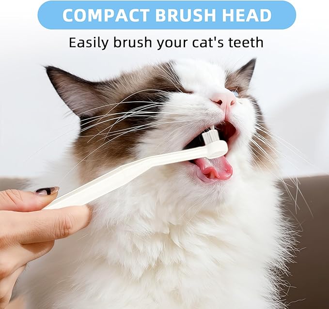 HOP Cat Toothbrush and Toothpaste Kit Vanilla Cat Toothpaste(70g) 2 Soft Nylon Bristles Micro-Head Cat Toothbrushes Kitten Tooth Brushing Kit Pet Dental Care Kit for Cats and Small Dogs Fresh Breath