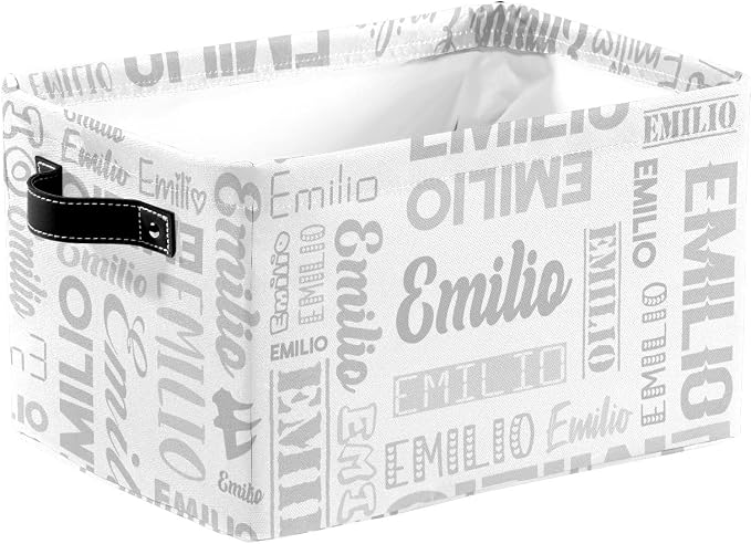 Personalized Toy Box Storage Bins for Boys Girls with Name, Kids Custom Storage Basket Cubes Organizer with Handles, Shelf Closet Storage Baskets Bin Customized Gift, 1 Pack
