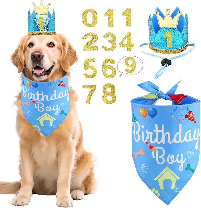 Rensh Dog Birthday Party Supplies, Dog Birthday Bandana Hat with Numbers for X-Large Large Small Pets, Multi Size Birthday Decorations for Dogs and Cats (Blue, Small)