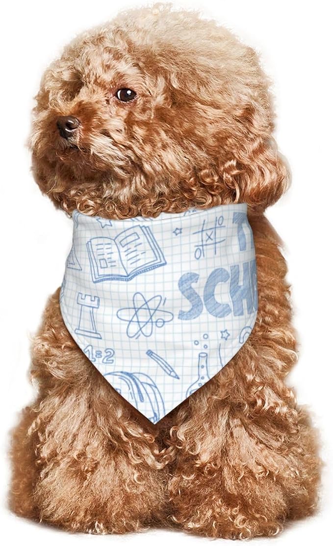 Teacher's Pet Dog Bandana,Funny Bandana Gift,Photo Prop Accessories for Dog Lovers Owner Gift,Triangle Reversible Fall Scarf, Adjustable (Light Blue)