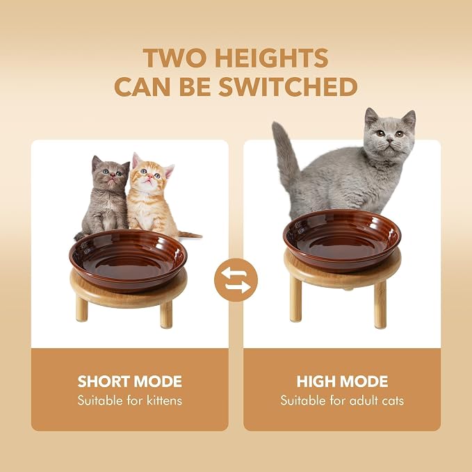 Havniva Elevated Cat Bowls, Ceramic Cat Bowl with Bamboo Stand Wide Opening | 5.7” Raised Cat Food Bowls, Whisker Friendly Cat Dish, Anti-Slip Cat Water Bowls, Shallow Cat Bowls, Cat Food & Water Bowl