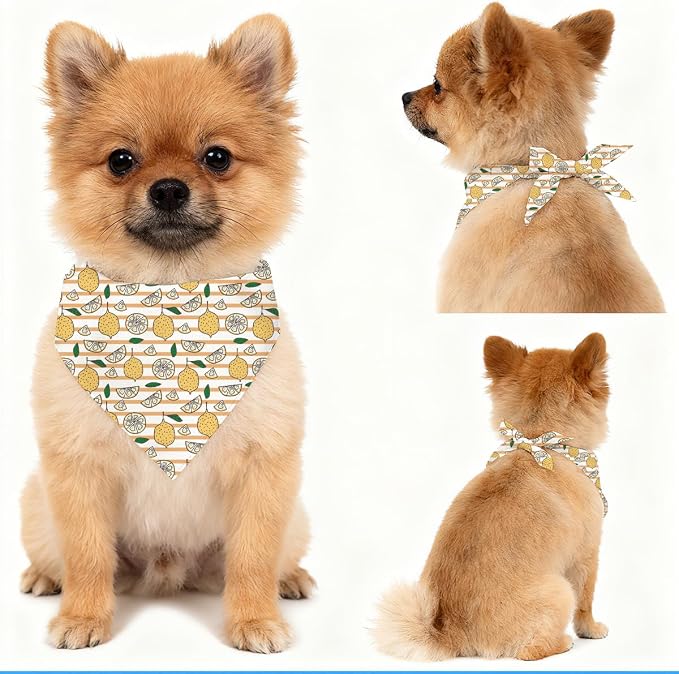 Lemon Dog Bandana, Yellow Fruit Pattern Pet Triangle Scarf for Small Medium Dogs, Cute Puppy Scarf for Daily Walks Picnic Birthday Party and Family Photos